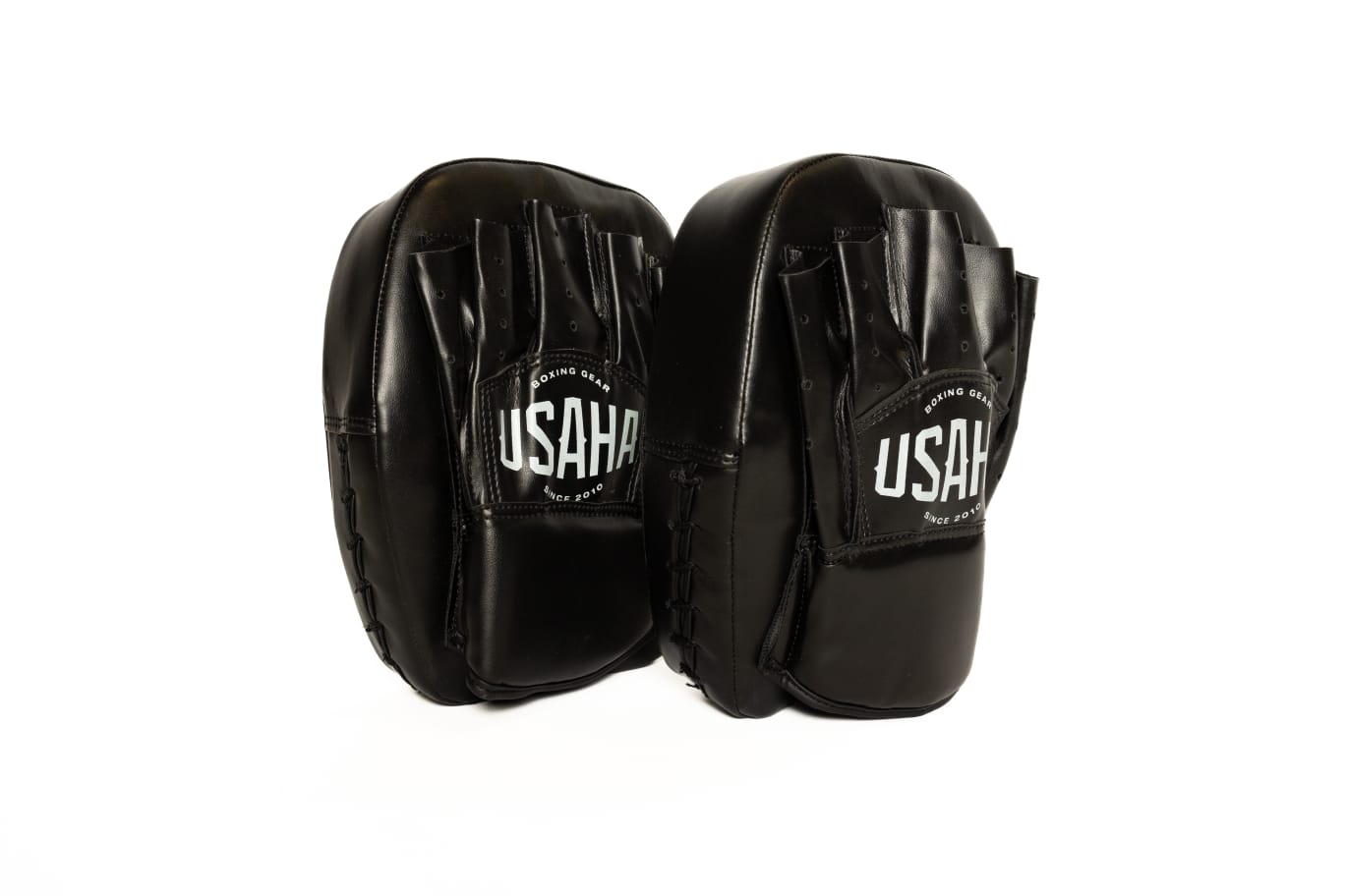 Focus Mitts